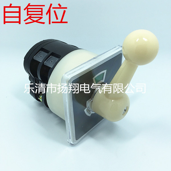 LW5D-16B0331/2 船用转换开关LW95-16B0331/2 自复位LW95-B0331/2