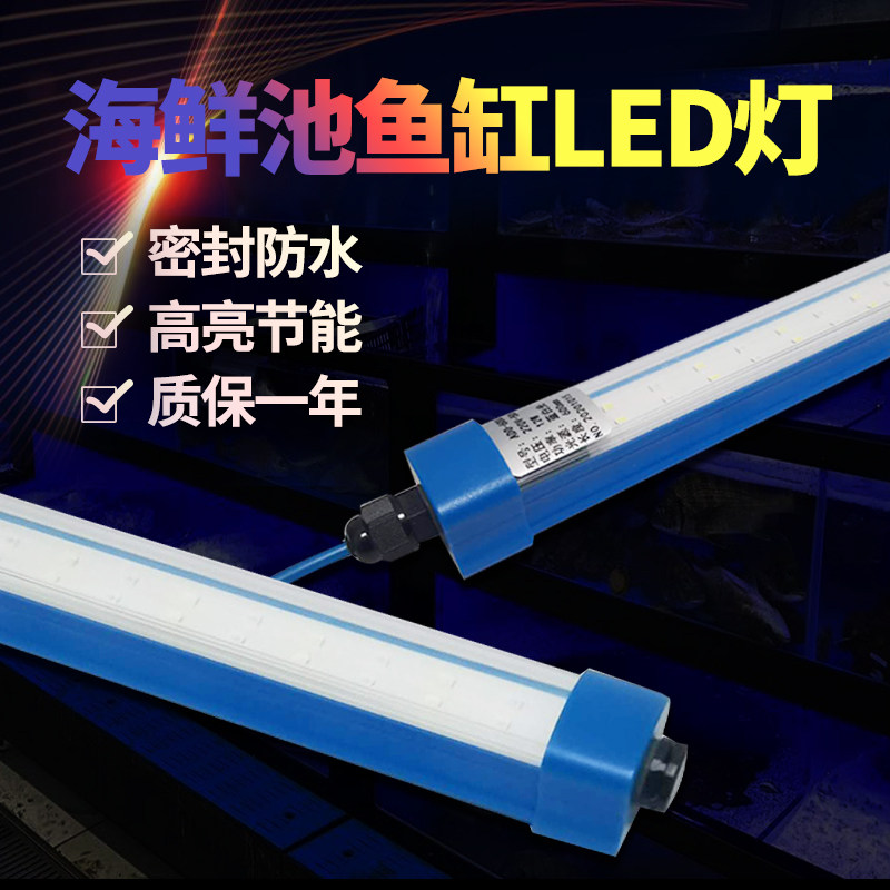 森森海鲜池鱼缸灯鱼池专用LED灯水产鱼虾蟹照明灯防水led灯 220v,农用物资,苗木固定器/支撑器,淘宝优惠券,粉丝福利购,淘宝优惠卷