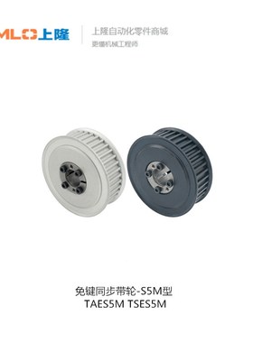 上隆免键同步带轮-S5M型TAES5M-22-100-D6 TSES5M-28-100-D6