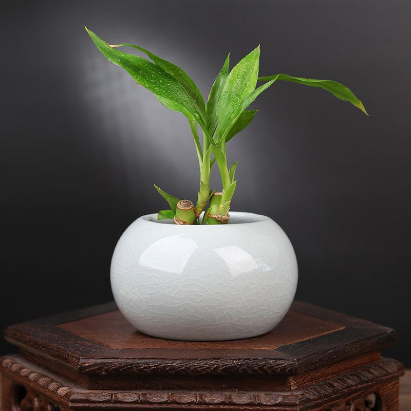 铜钱草哥窑花瓶陶瓷水培小花盆无孔绿植容器小清新桌面花器办公桌,农用物资,苗木固定器/支撑器,淘宝优惠券,粉丝福利购,淘宝优惠卷