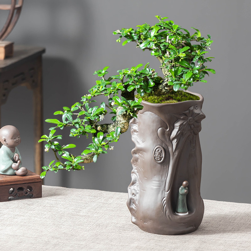 精品紫砂花盆福建茶盆景盆摆件带托盘发财树客厅禅意造景高款透气,农用物资,苗木固定器/支撑器,淘宝优惠券,粉丝福利购,淘宝优惠卷