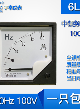 6L2中频频率表100hz250hz500hz1000hz 2500hz赫兹电压100v中频炉