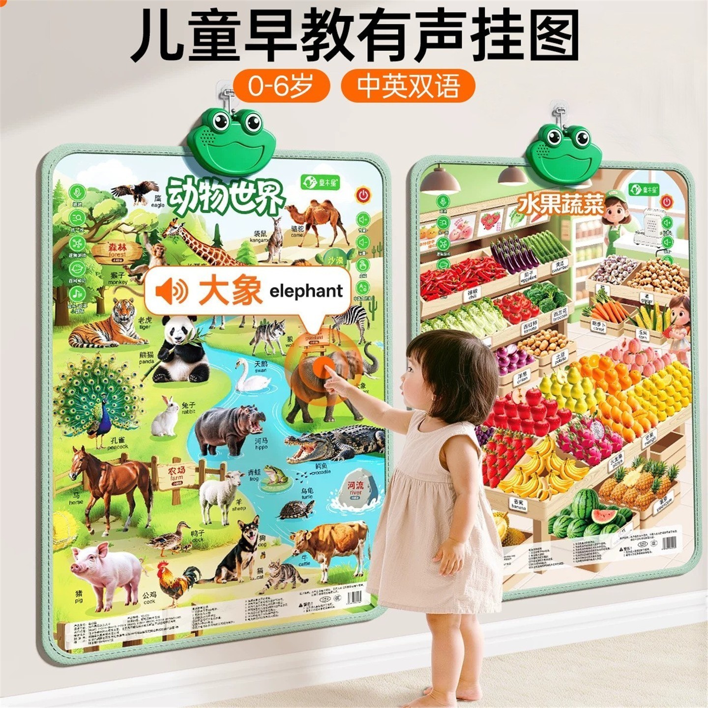 有声挂图婴幼儿童男女宝宝卡片识玩具挂图/认知卡
