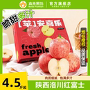 冰糖心官方旗舰店 包邮 正宗陕西洛川红富士苹果特级应当季 新鲜水果