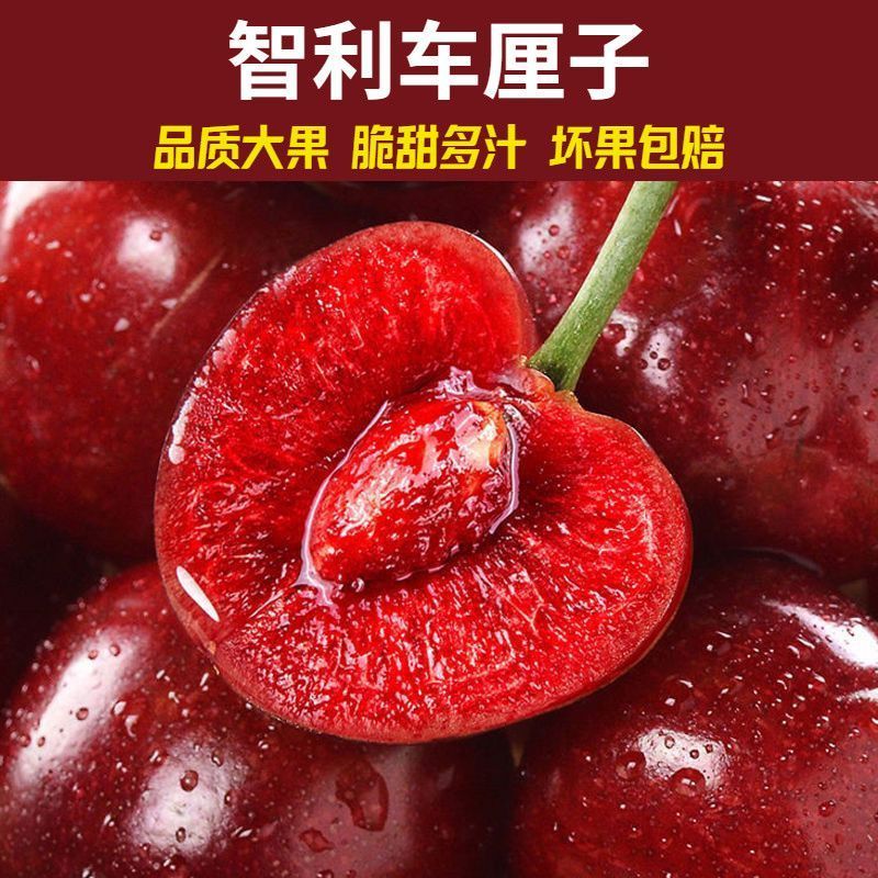智利车厘子进口大樱桃顺丰包邮