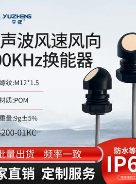 1.5m量程超声波换能器DYA-200-01KC超声气体流量计探头200KHz厂家