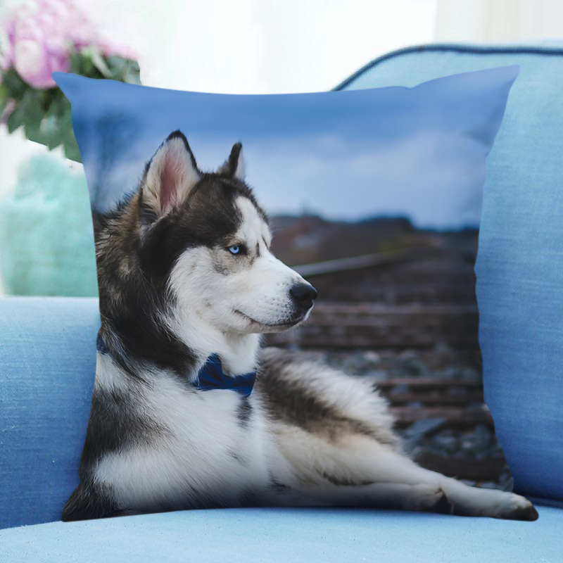 哈士奇抱枕二哈表情m包被子两用搞怪男生宠物枕头双面照片沙发靠