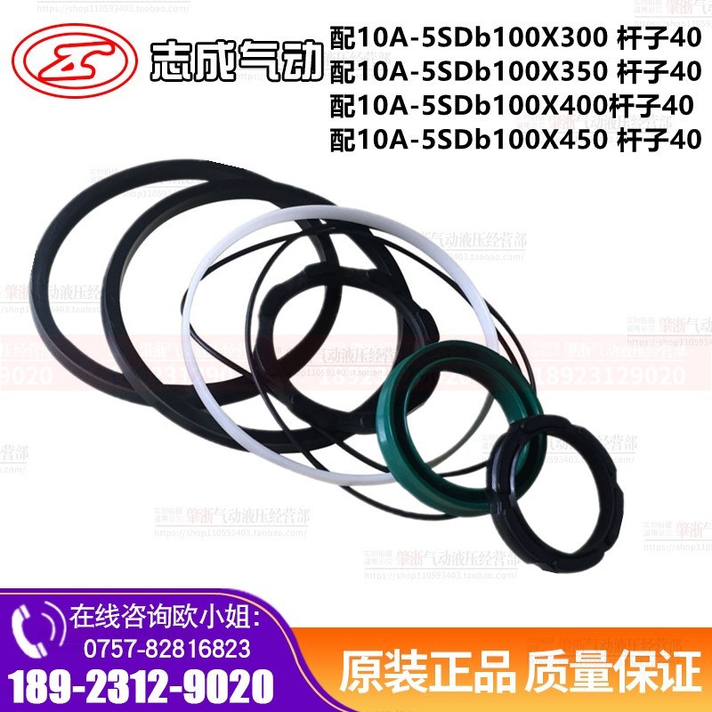 广东肇庆志成气缸密封件 修理包10A-5 bSD100B45W0 杆子40