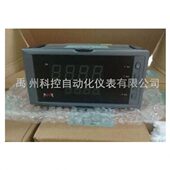 LCD 无纸记录仪HR XRS8101 З6