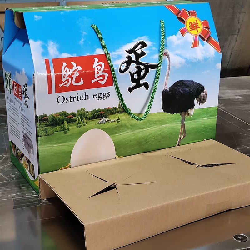 拍1发10 两枚装鸵s鸟蛋礼盒 包装纸箱 绿色彩印手提式