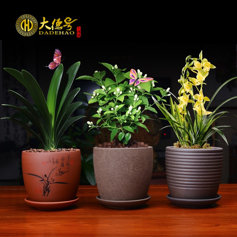 紫砂花盆带托g盘盆景盆绿植室内吊兰绿萝兰草文竹发财树君子兰花