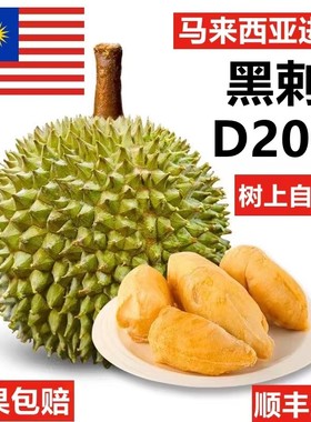马来西亚黑刺D200榴莲 液氮冷冻榴莲 精品水果大果