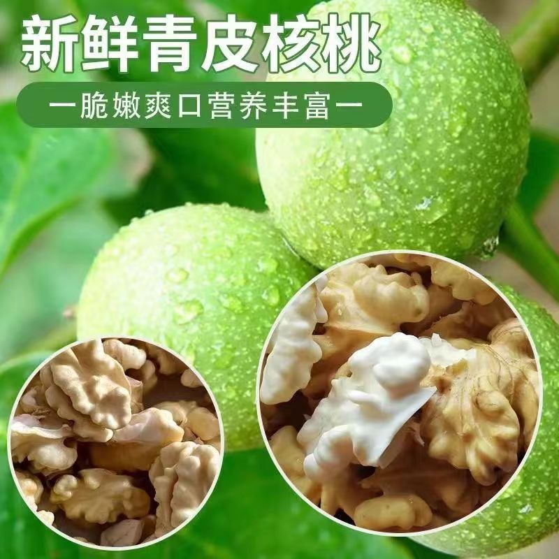 2026新鲜核桃带青皮湿核桃去绿皮生核桃薄皮孕妇专用嫩黑桃新货批
