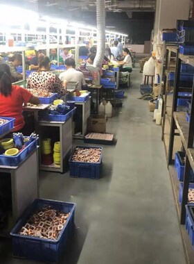 50W60W80W100W200W300W才兴电源变压器220V380V转6V9V12V15V18V24