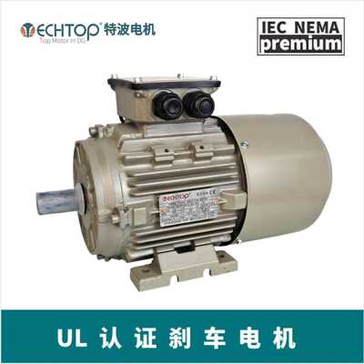 磨刷马达 TECHTOP T3CRB90S-6  0.8KW 磨板机专用电机 UL/CSA认证