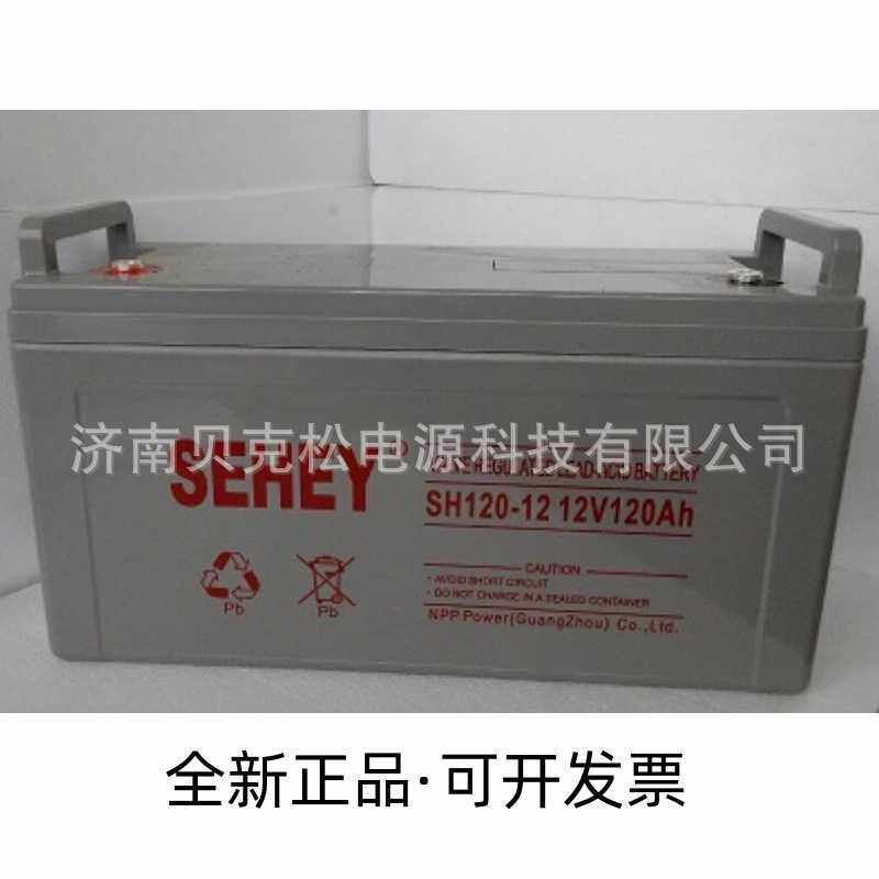 西力铅酸蓄电池NPG12-100SH太阳能发电船舶12v100a电瓶深循环