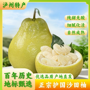 正宗老树沙田柚产地直销新鲜上市原生态自然熟柚子纯甜孕妇水果