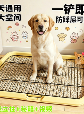吸盘防滑定点易洗防踩踏狗厕所