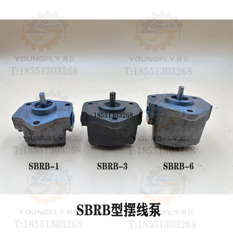 双向摆线泵SBRB-1 SBRB-3 SBRB-6型三角摆线泵 润滑泵