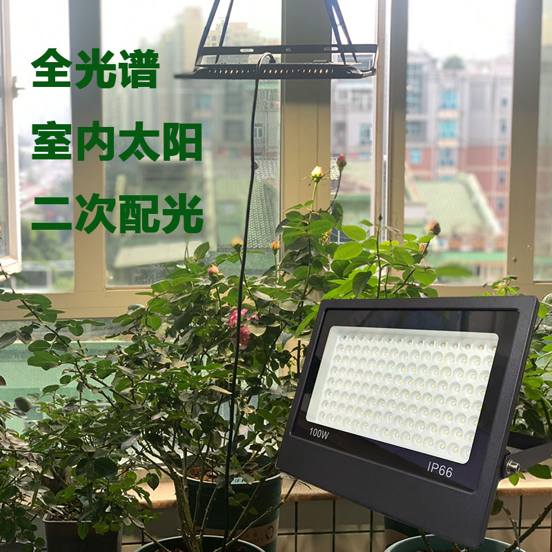 全光谱植物生长灯 月季君子兰绿植墙通用室内花卉led仿太阳补光灯