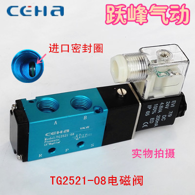 精品 电磁阀 TG2521-08 二位五通换向阀 进口密封圈 AC220V DC24V