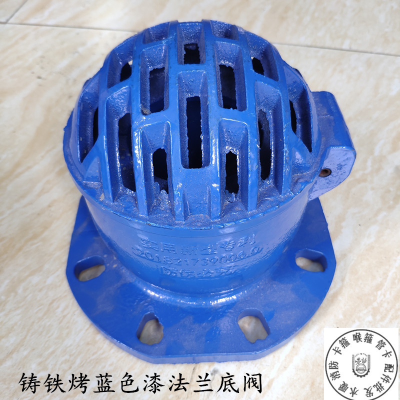 H42X10-16蓝色铸铁烤漆法兰底阀 止回阀单向阀 抽水泵吸水底阀100