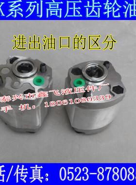 CBK-F125 F130 F133 F140 F148 F153BL F180BL齿轮油泵F158 BL