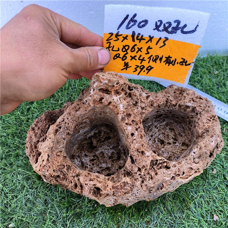 吸水石上水石小盆景石头q自吸水花盆菖蒲石斛蕨类文竹小植物创意