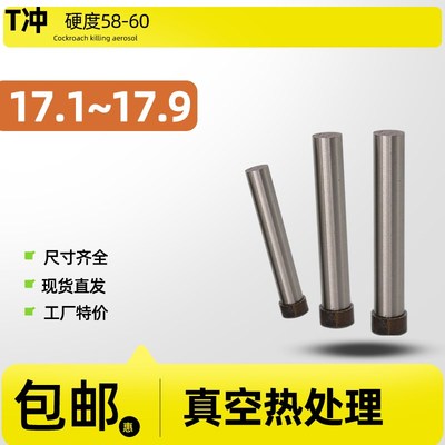 skd11模具冲针T型冲头17.1~17.9 17.2 17.3 17.4 17.6 17.7 17.8
