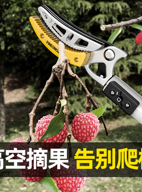 摘水果摘荔枝龙眼枣采摘采果酸枣树枝高枝伸缩高空剪摘果神器剪刀