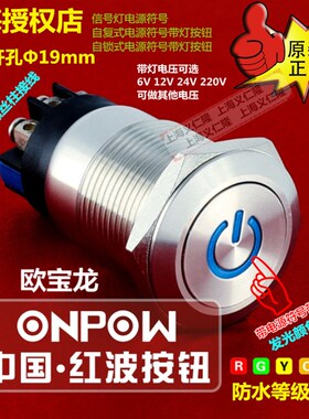 LAS1GQ-11ZDT/L/S自锁电源开关ONPOW红波开关单点电源符号带灯