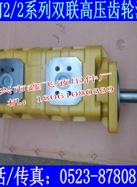 CBGJ2032/2032 CBGJ2100 CBGJ2080 CBGJ1050双联高压齿轮油泵