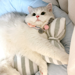 元 通用深度睡眠猫窝宠物用品 気喵 蝴蝶结枕头猫窝猫床可拆洗四季