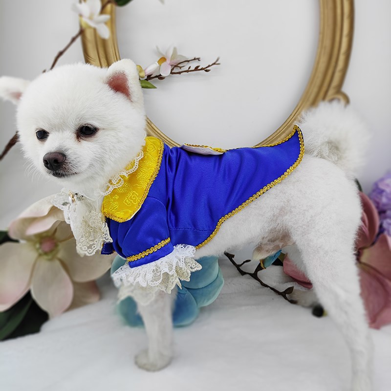 私宠手作宠物狗公狗西装COS美女与野兽泰迪比熊博美猫咪西服礼服