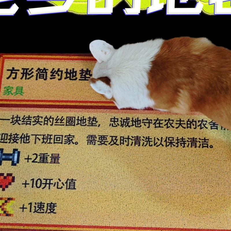 入户门垫客厅卧j室床边进门厨房自由裁剪电竞房星露谷物语地毯周