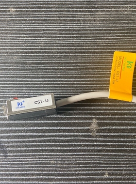 磁性开关CS1-A020 CS1-F/U/G/J/S/M CS1-B1 B2 B3 B4 B5 6