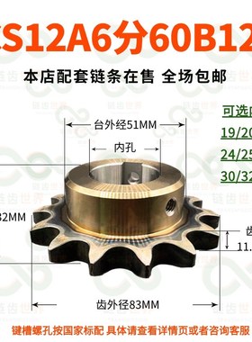 scs盛天45钢6分12Ap60B工业传动链齿轮定制做加工345分1寸081016A