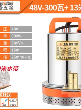 上海人民a12V24V48V60V72V直流潜水泵抽水泵家用农用刷车电动车