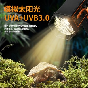 爬宠乌龟晒背灯架uvauvb加热保暖灯座太阳灯鱼缸龟缸水族宠物取暖