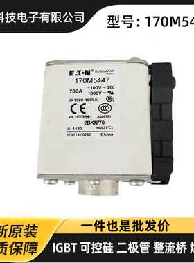 170M8506 170M8507 170M8508 170M8509原包电源陶瓷熔断器 保险丝