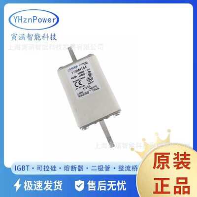 170M4144 全新现货 170M  BUSSMANN 高压熔断器/保险丝