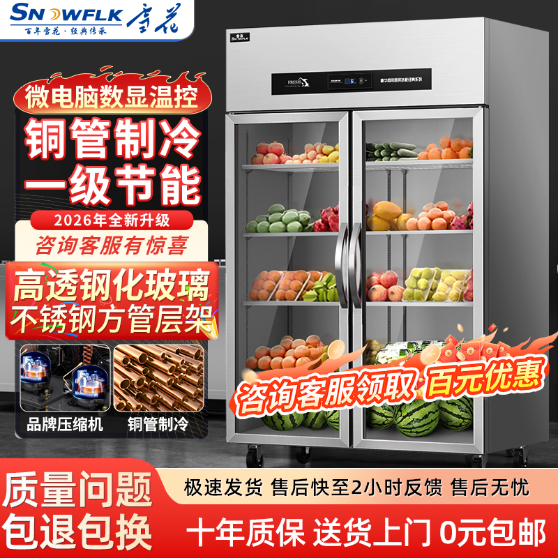 雪花风冷无霜商用水果蔬菜冰箱