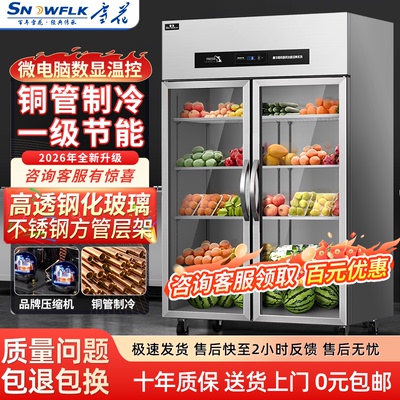 雪花风冷无霜商用水果蔬菜冰箱