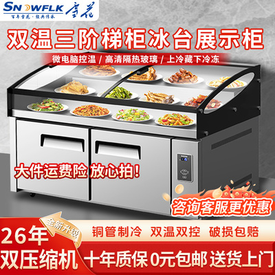 雪花双温三阶梯冰台商用点菜冰柜
