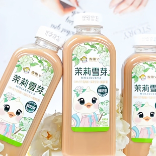 麦田丫茉莉雪芽鲜奶茶青青生椰鲜奶茶500ml网红瓶装 下午茶饮料
