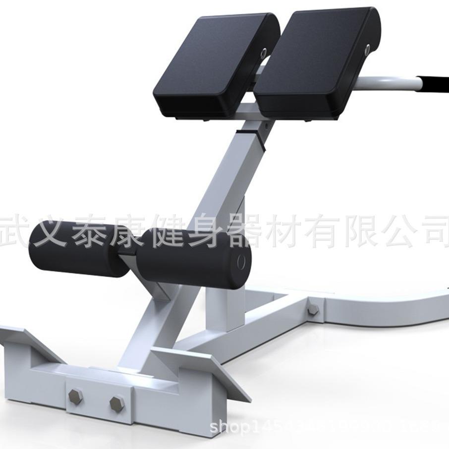 厂家直销室内罗马椅家用健身器材罗马凳跨境山羊挺腰器哑铃凳