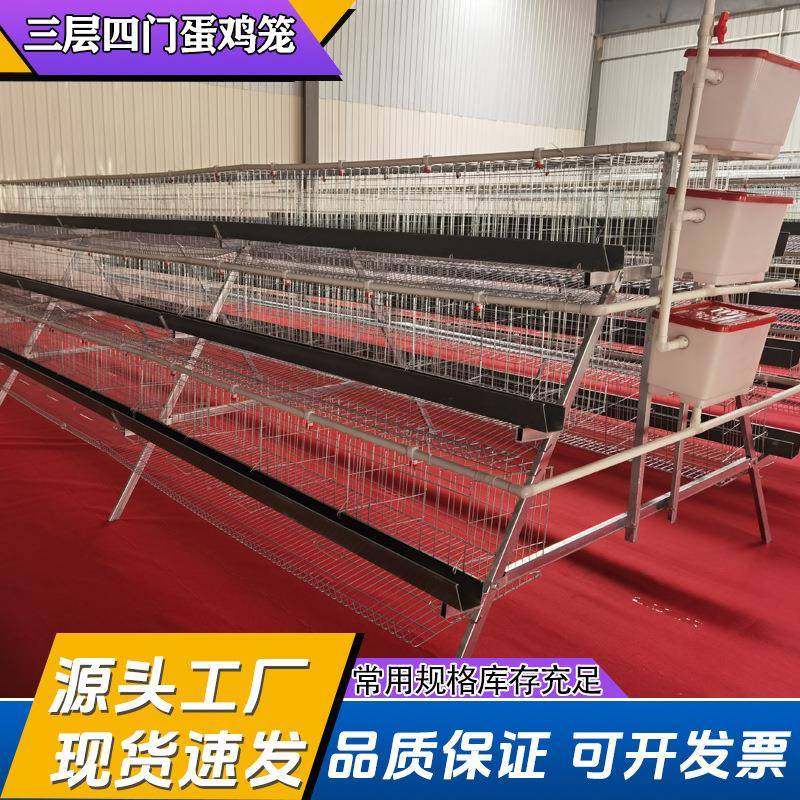 阶梯蛋鸡笼养殖笼子三层四门热镀锌自动化阶梯双边蛋鸡笼养鸡设备,农机/农具/农膜,农用防护器具,淘宝优惠券,粉丝福利购,淘宝优惠卷