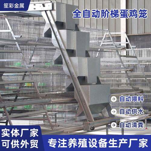 全自动阶梯蛋鸡笼自动清粪捡蛋喂料冷镀锌大型养殖场用蛋鸡笼子