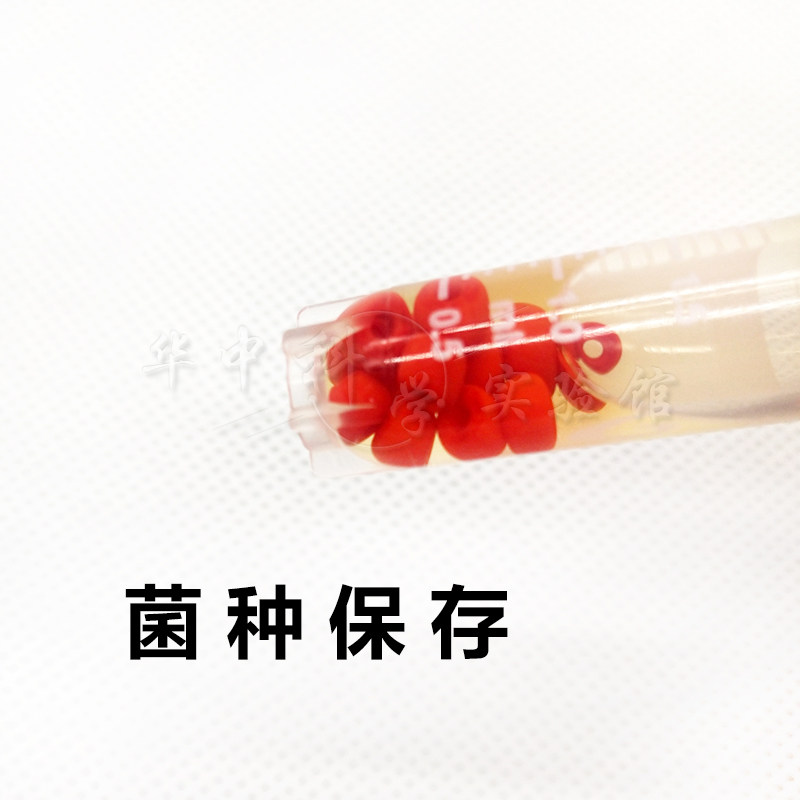 HBPT001-1  瓷珠菌种保存管  50 支/盒 20支/盒  青岛海博