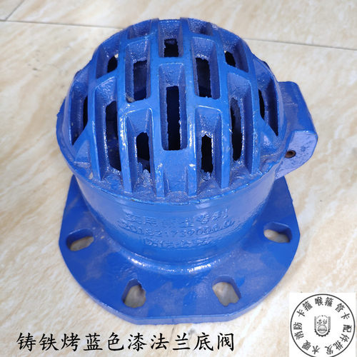 H42X10-16蓝色铸铁烤漆法兰底阀 止回阀单向阀 抽水泵吸水底阀100